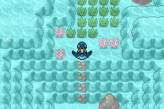 《口袋妖怪白金光》詳細圖文攻略（全）