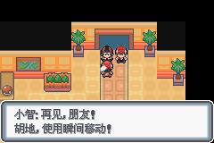 《口袋妖怪白金光》詳細(xì)圖文攻略（全）