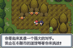 《口袋妖怪白金光》詳細(xì)圖文攻略（全）