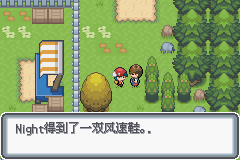 《口袋妖怪白金光》詳細(xì)圖文攻略（全）