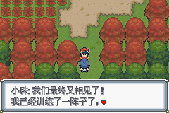 《口袋妖怪白金光》詳細圖文攻略（全）