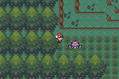 《口袋妖怪白金光》詳細圖文攻略（全）