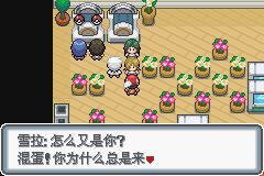 《口袋妖怪白金光》詳細(xì)圖文攻略（全）