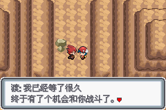 《口袋妖怪白金光》詳細(xì)圖文攻略（全）