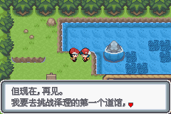 《口袋妖怪白金光》詳細(xì)圖文攻略（全）
