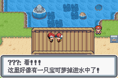 《口袋妖怪白金光》詳細(xì)圖文攻略（全）