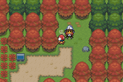 《口袋妖怪白金光》詳細圖文攻略（全）