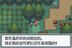 《口袋妖怪白金光》詳細(xì)圖文攻略（全）