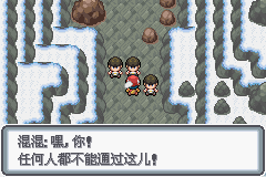 《口袋妖怪白金光》詳細圖文攻略（全）