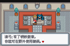 《口袋妖怪白金光》詳細(xì)圖文攻略（全）