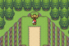 《口袋妖怪白金光》詳細圖文攻略（全）