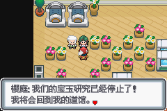 《口袋妖怪白金光》詳細(xì)圖文攻略（全）