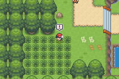 《口袋妖怪白金光》詳細(xì)圖文攻略（全）