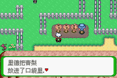 《口袋妖怪空之花神》一周目圖文攻略