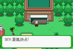 《口袋妖怪空之花神》一周目圖文攻略