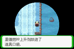 《口袋妖怪空之花神》一周目圖文攻略