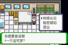 《口袋妖怪空之花神》一周目圖文攻略
