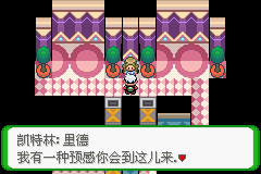 《口袋妖怪空之花神》一周目圖文攻略