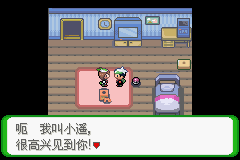 《口袋妖怪空之花神》一周目圖文攻略
