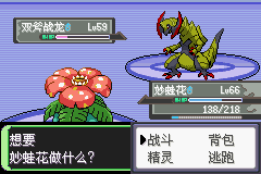 《口袋妖怪空之花神》一周目圖文攻略