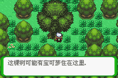 《口袋妖怪空之花神》一周目圖文攻略