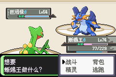 《口袋妖怪空之花神》一周目圖文攻略