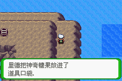 《口袋妖怪空之花神》一周目圖文攻略