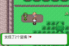 《口袋妖怪空之花神》一周目圖文攻略