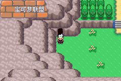 《口袋妖怪空之花神》一周目圖文攻略