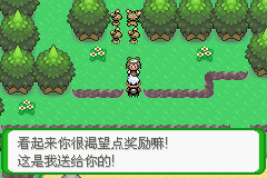 《口袋妖怪空之花神》一周目圖文攻略