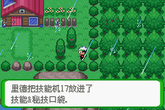 《口袋妖怪空之花神》一周目圖文攻略