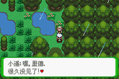 《口袋妖怪空之花神》一周目圖文攻略