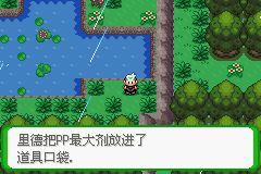 《口袋妖怪空之花神》一周目圖文攻略
