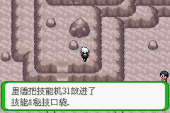 《口袋妖怪空之花神》一周目圖文攻略