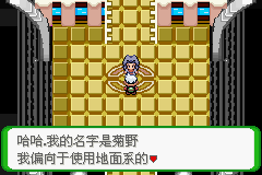《口袋妖怪空之花神》一周目圖文攻略