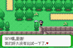 《口袋妖怪空之花神》一周目圖文攻略