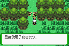 《口袋妖怪空之花神》一周目圖文攻略