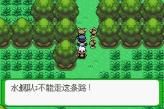 《口袋妖怪空之花神》一周目圖文攻略