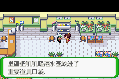 《口袋妖怪空之花神》一周目圖文攻略