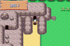 《口袋妖怪空之花神》一周目圖文攻略