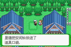 《口袋妖怪空之花神》一周目圖文攻略