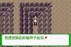 《口袋妖怪空之花神》一周目圖文攻略