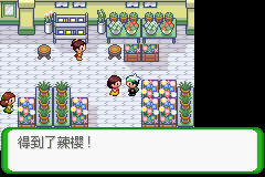 《口袋妖怪空之花神》一周目圖文攻略