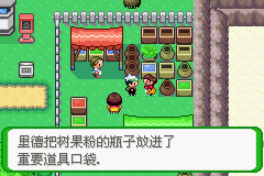 《口袋妖怪空之花神》一周目圖文攻略