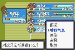 《口袋妖怪空之花神》一周目圖文攻略