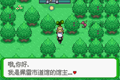 《口袋妖怪空之花神》一周目圖文攻略