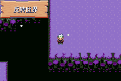 《口袋妖怪空之花神》一周目圖文攻略
