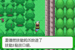 《口袋妖怪空之花神》一周目圖文攻略