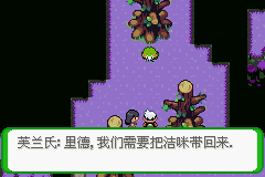 《口袋妖怪空之花神》一周目圖文攻略