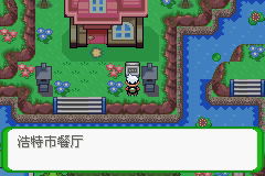 《口袋妖怪空之花神》一周目圖文攻略